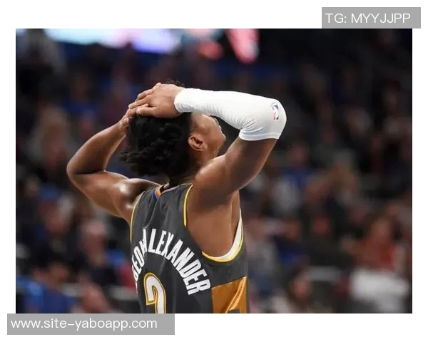 阿里纳斯直言黄蜂依赖三球否则夏洛特不应有NBA球队