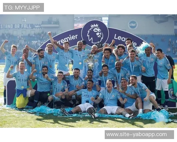 水晶宫计划冬窗出售身价5000万格伊红军将面临皇萨仁激烈竞争